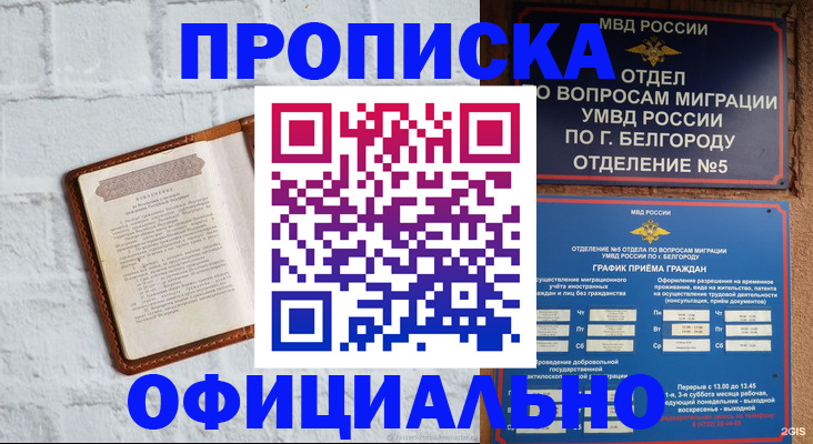 временная регистрация для школы в Никольском